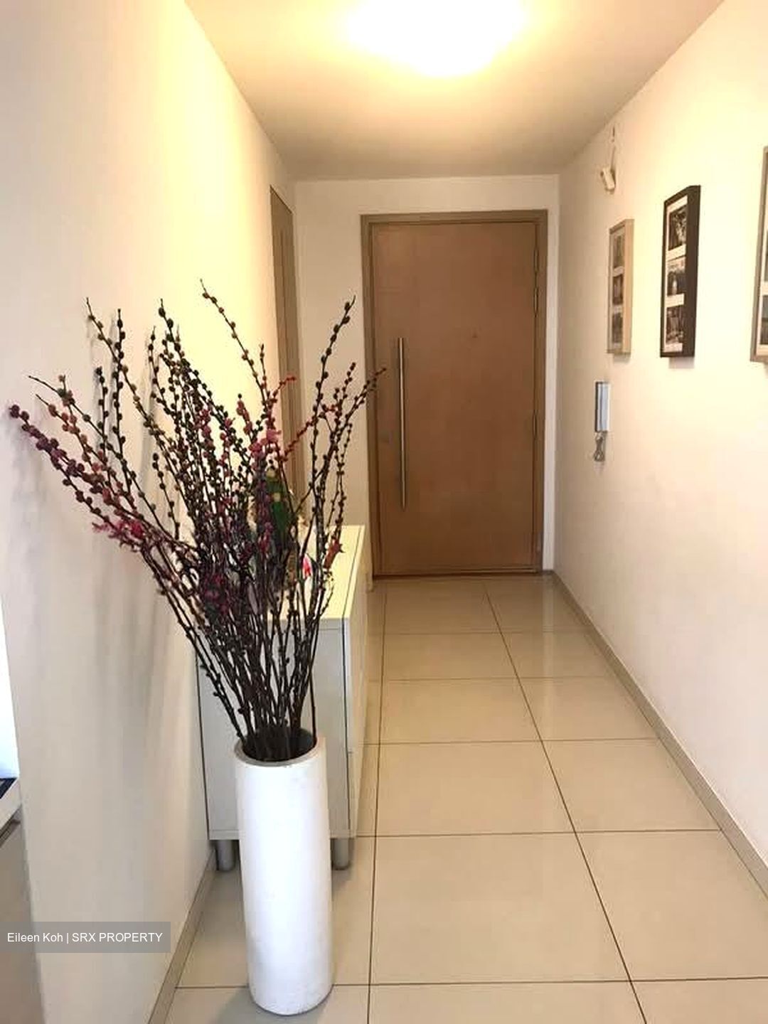 Oasis @ Elias (D18), Condominium #551258981